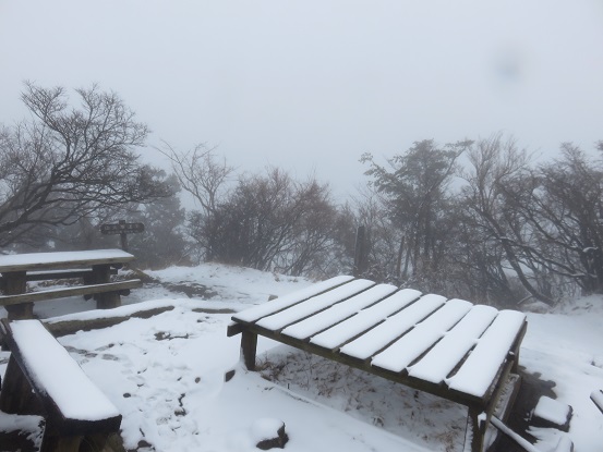 大山の山頂付近の写真