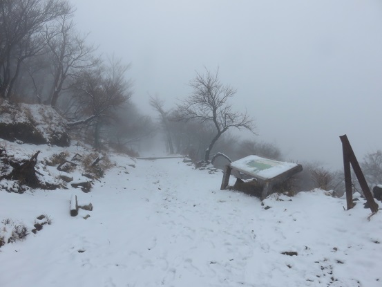 大山山頂徘徊