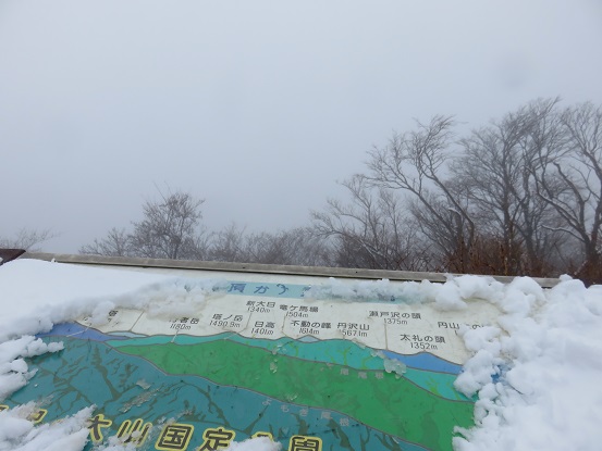 丹沢山塊の景色