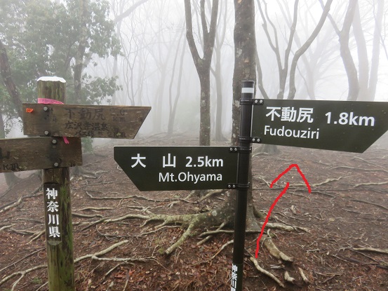 赤矢印方面に進むと三峰山