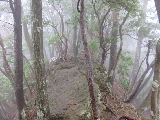 三峰山危ない痩せ尾根歩