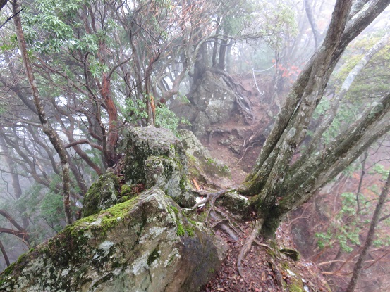 痩せ尾根崖