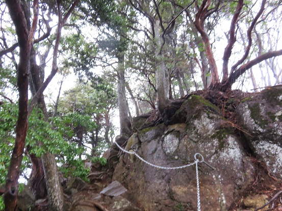 三峰山周辺の登山道