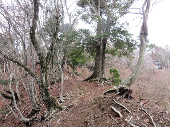 鍋嵐まで登山道はありません