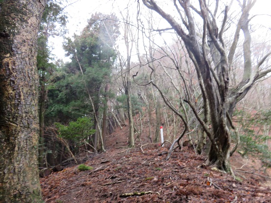 鍋嵐の直下