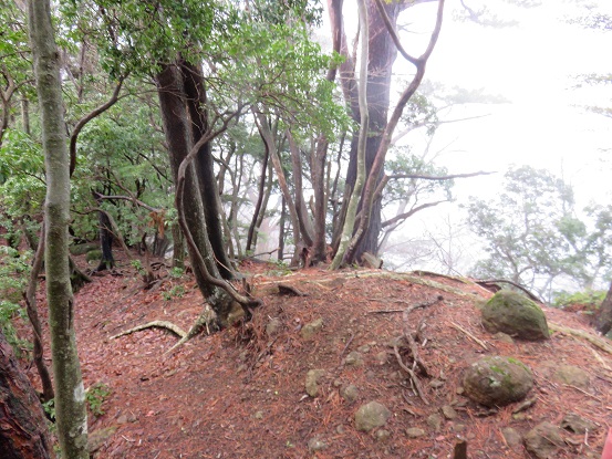 鍋嵐の山頂の様子