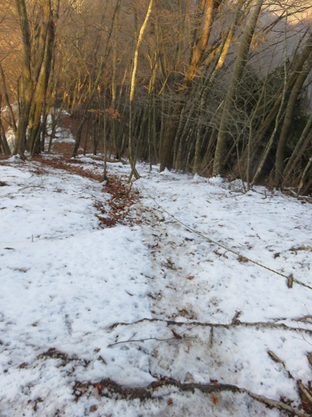 三頭山からヌカザス山登山道