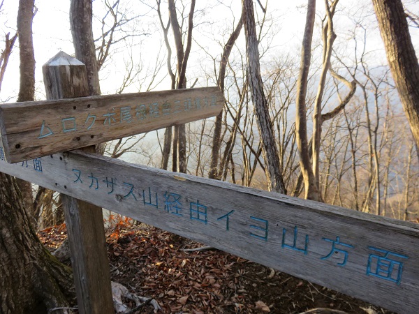 ヌカザス山とムロクボ尾根と分岐き