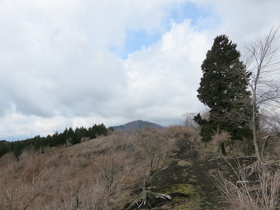 世附峠尾根道