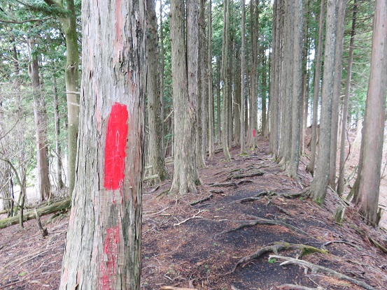 世附峠から湯船山まで