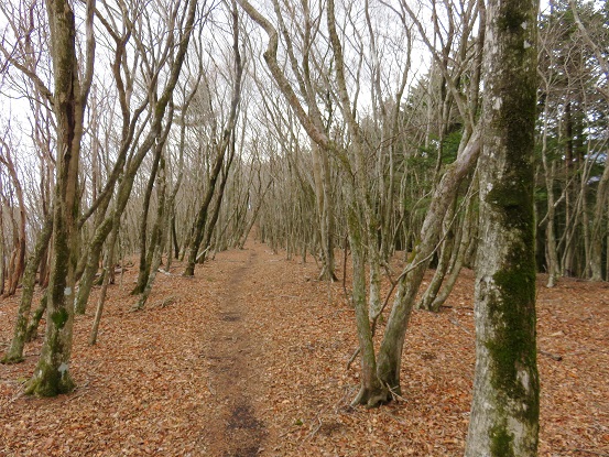 登山者が少なく静かな山