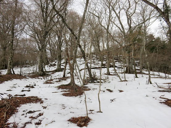 三国山に進むと積雪