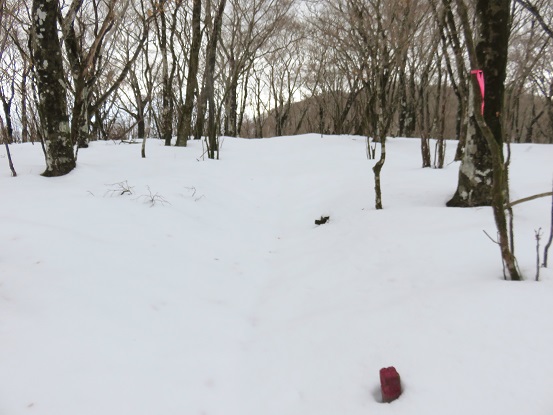 三国山周辺は、かなり雪