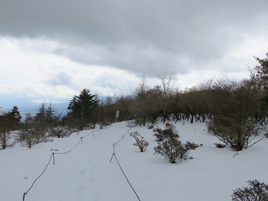 大洞山から直ぐの所にアザミ平