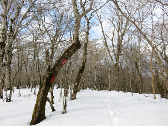 畑尾山周辺も積雪が凄く、本格的な冬山