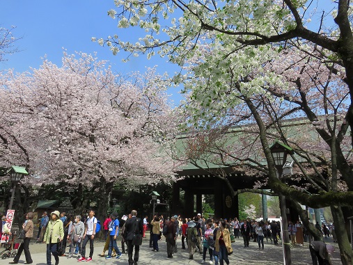 人がウジャウジャだった靖国神社の境内