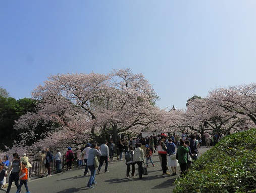 北の丸公園の入口付近