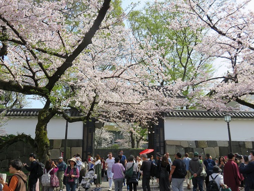 北の丸公園の入口付近も観光客が多く