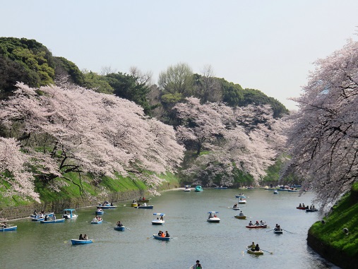 平和な時間