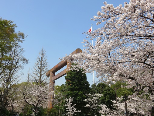 桜は日本の象徴