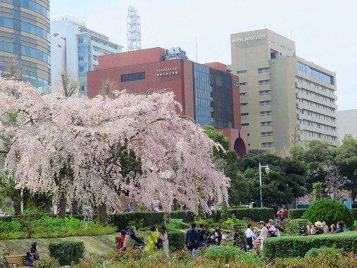 f:id:aohige0718:20180330201257j:plain 凄い観光客の数