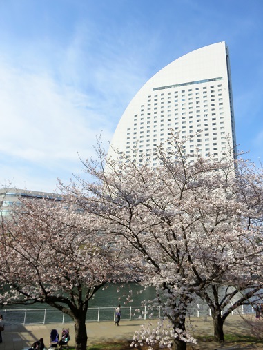 f:id:aohige0718:20180330201741j:plain f:id:aohige0718:20180330201741j:plain