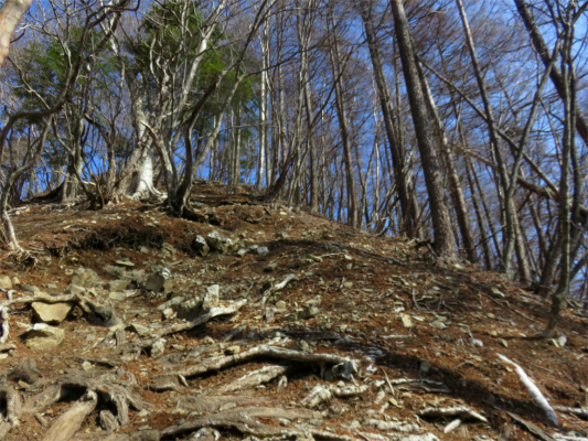 水根山登山道の急登