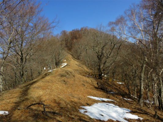 水根山から鷹ノ巣山