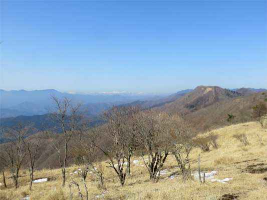 鷹ノ巣山周辺登山道の様子