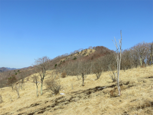 目指す鷹ノ巣山