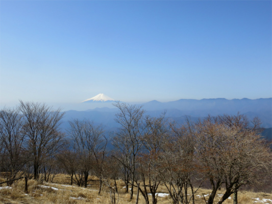 鷹ノ巣山周辺富士山の絶景スポット