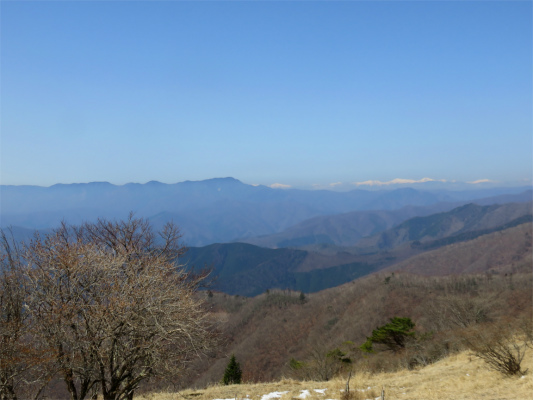 南アルプスの山並大菩薩嶺