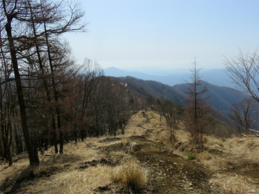 鷹ノ巣山から振り返っての石尾根縦走路