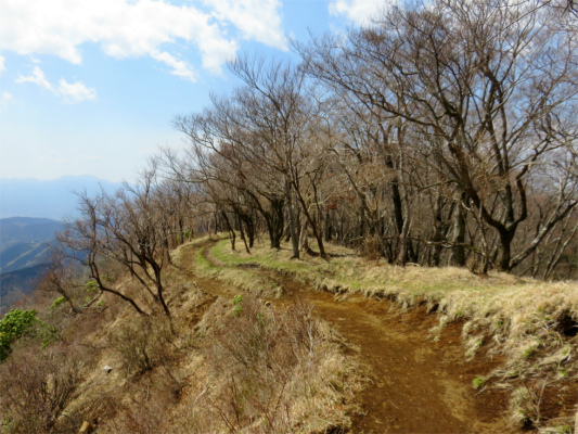 f:id:aohige0718:20180410233742j:plain 鍋割山稜も癒しの尾根道