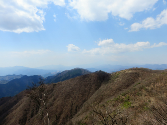 f:id:aohige0718:20180410233753j:plain 鍋割山稜登山道アップ