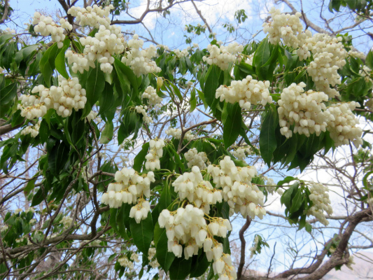 f:id:aohige0718:20180410234057j:plain f:id:aohige0718:20180410234057j:plain