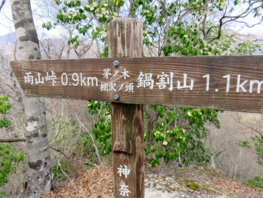 f:id:aohige0718:20180410234104j:plain 茅ノ木棚沢ノ頭