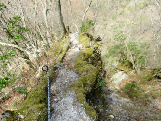 f:id:aohige0718:20180410234111j:plain 痩せ尾根