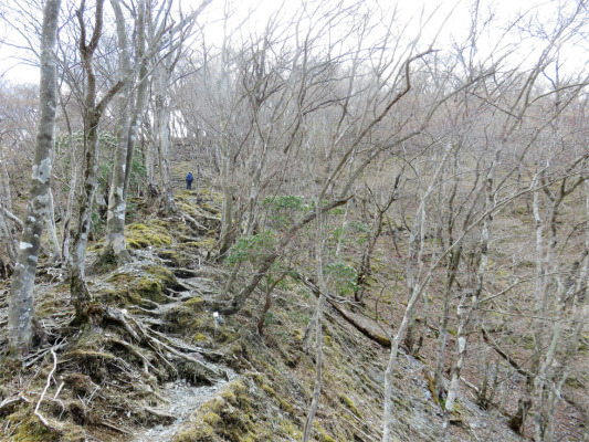 f:id:aohige0718:20180410234146j:plain 雨山峠からも急登