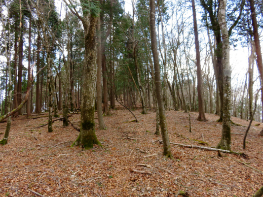 f:id:aohige0718:20180410234500j:plain 雨山地味な登り