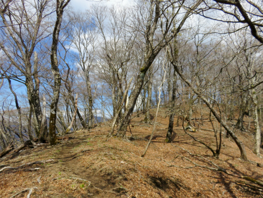 f:id:aohige0718:20180410234525j:plain f:id:aohige0718:20180410234525j:plain