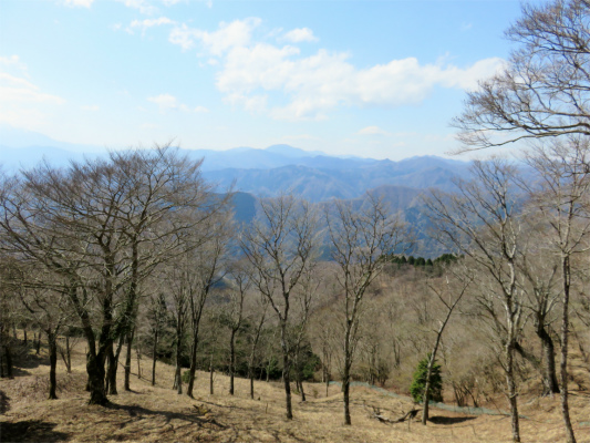 f:id:aohige0718:20180410234634j:plain 伊勢沢ノ頭周辺の景色