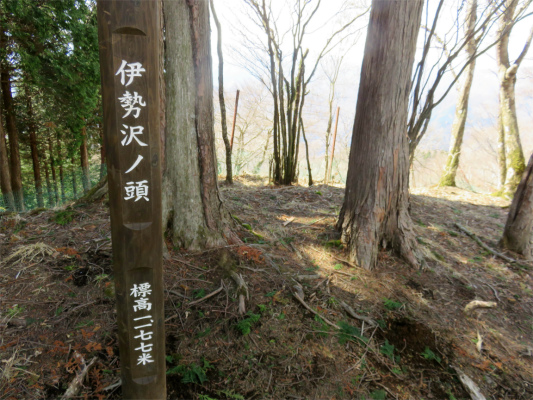 f:id:aohige0718:20180410234700j:plain 伊勢沢ノ頭(標高1,177m)