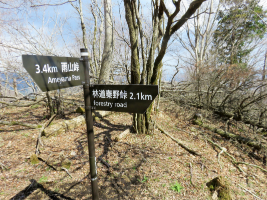 f:id:aohige0718:20180410234714j:plain 伊勢沢ノ頭南東尾根分岐