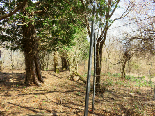 f:id:aohige0718:20180410234735j:plain 伊勢沢ノ頭南東尾根鹿柵