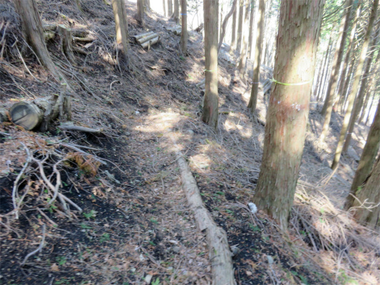 f:id:aohige0718:20180410234837j:plain 南東方面にのびる尾根