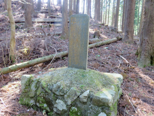 f:id:aohige0718:20180410234859j:plain 伊勢沢ノ頭南東尾根の植林記念碑