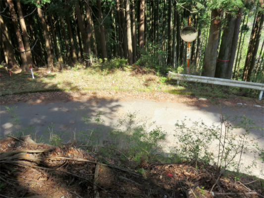 f:id:aohige0718:20180410234913j:plain 林道