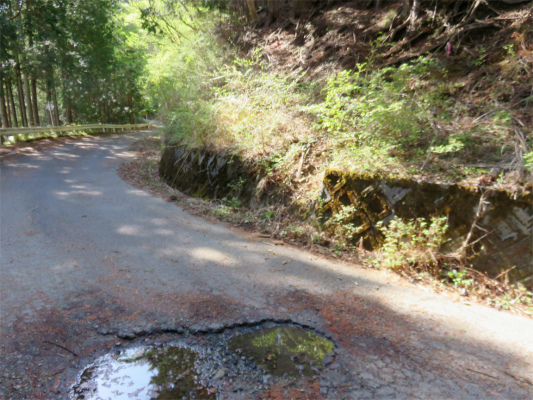 f:id:aohige0718:20180410234920j:plain ここから伊勢沢ノ頭南東尾根が始まる