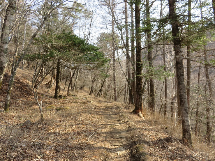 丸川峠尾根道